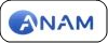 Компания ANAM